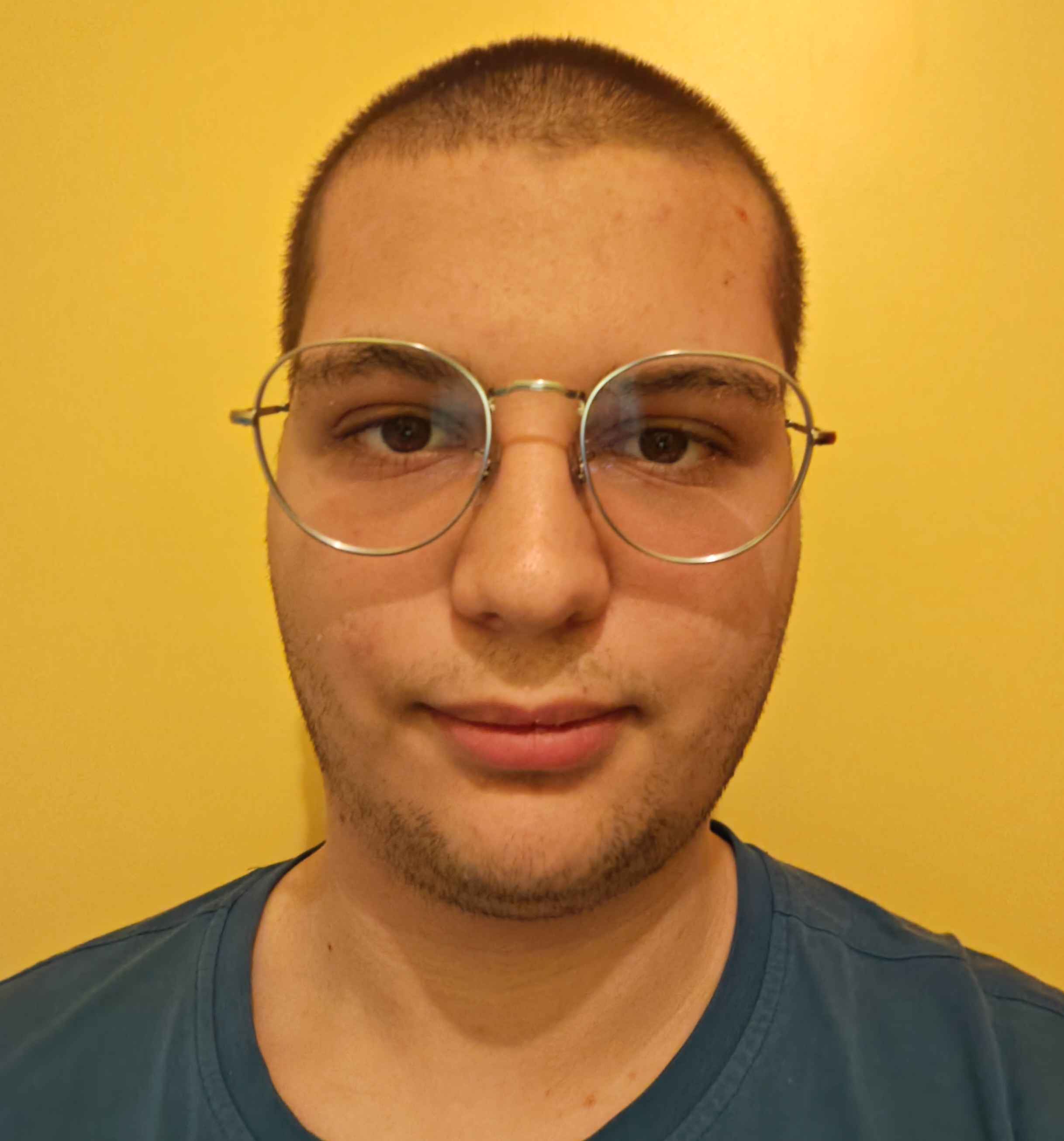 Slika Leuta Vrhovca, web dizajnera